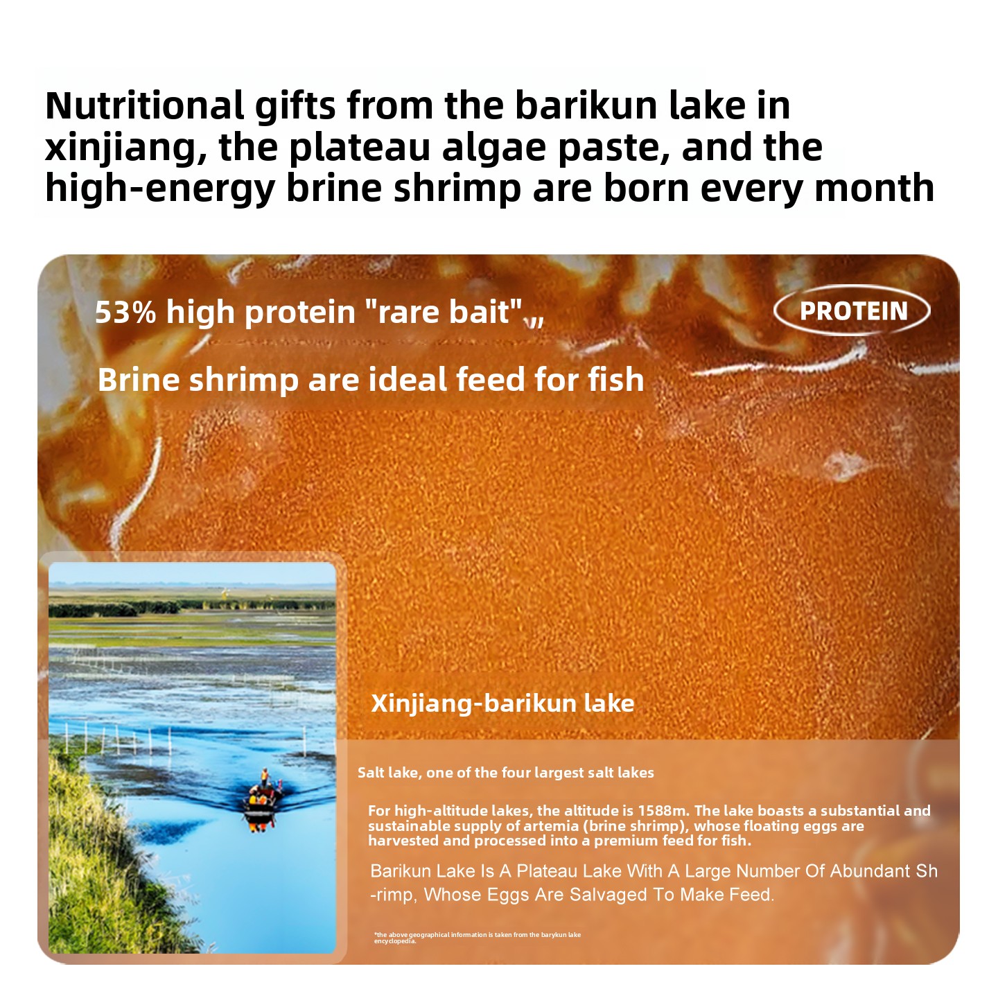 SANKii Artemia zdekaplowana, b – Baby Food With Protein recenzja i cena