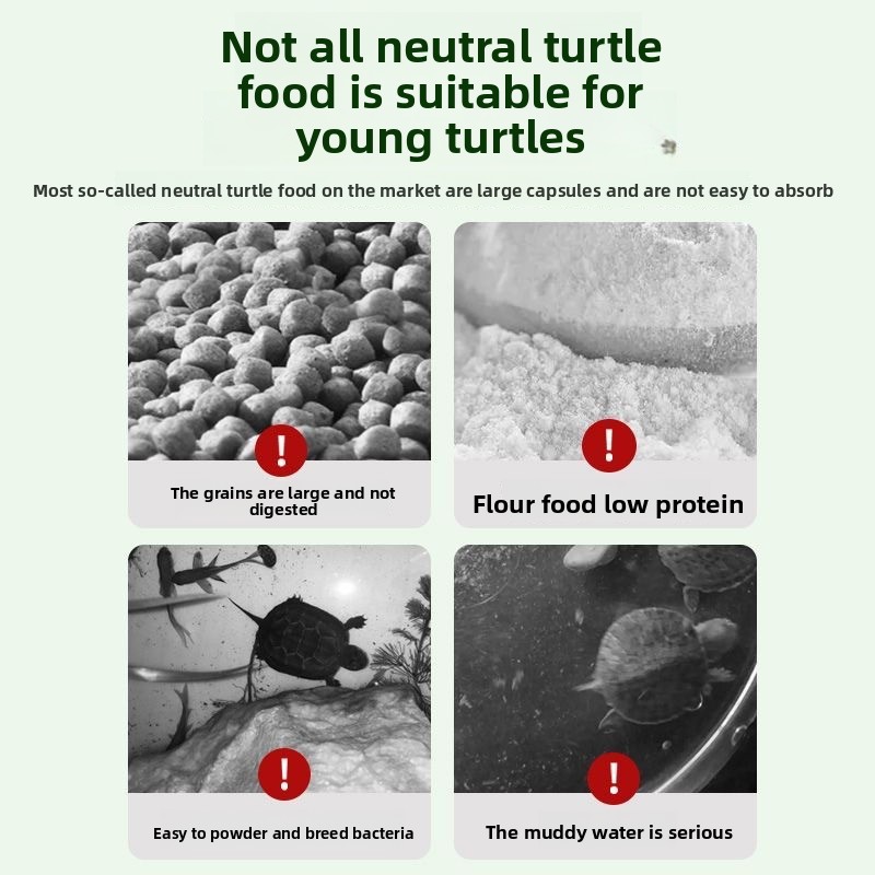Nai chong Hatchling Turtle Foo – Baby Food With Protein recenzja i cena